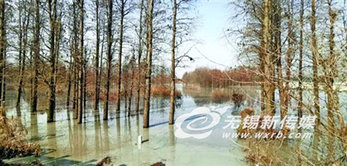 无锡今年提升太湖水质突出氮磷污染控制
