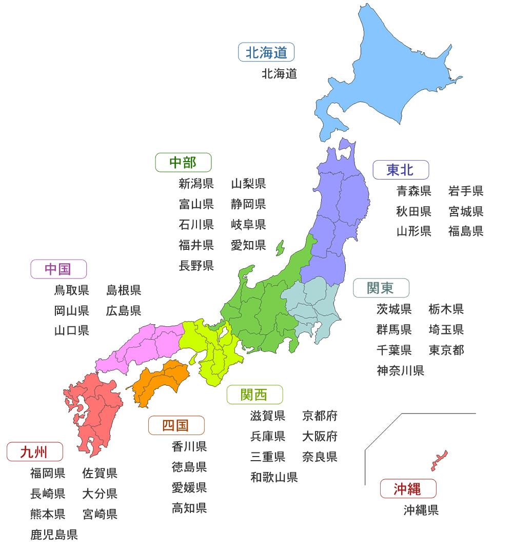 案例展示 第445页