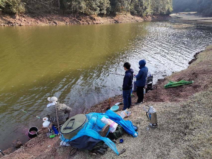 最新水库钓鱼视频攻略，钓鱼步骤指南与实战指南