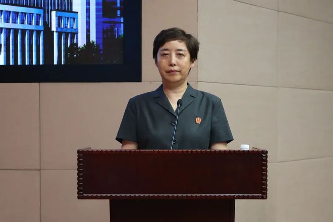阜新谭林案件最新进展揭秘，事件背后真相曝光，最新进展速递