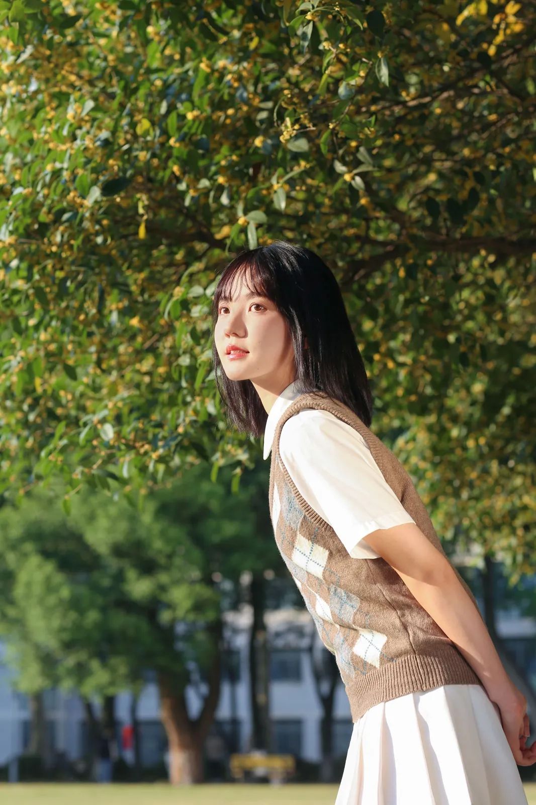 第1619页