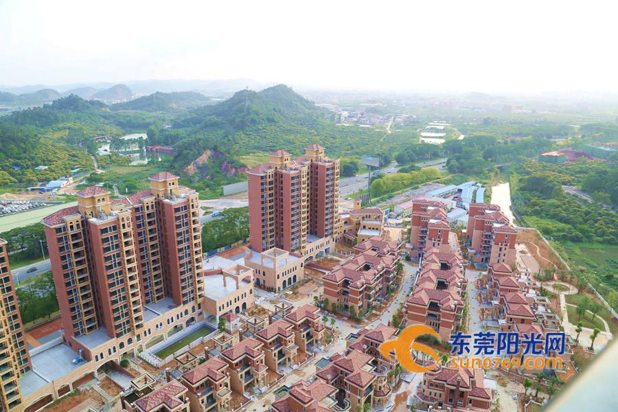 常平房价最新动态，市场走势、购房指南与热门区域全面解析