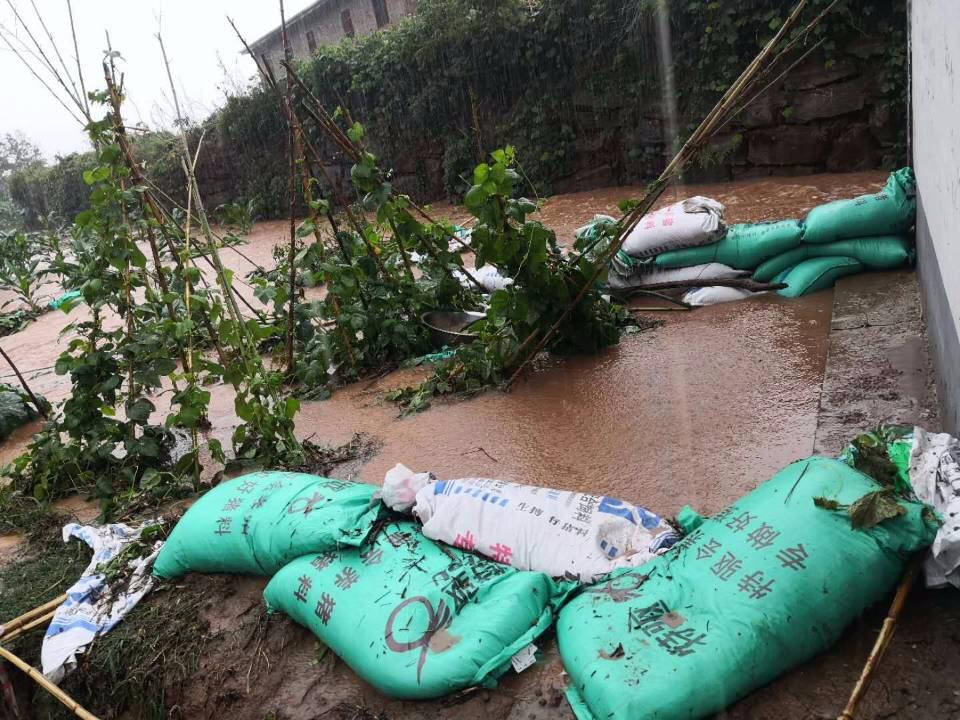 四川绵阳暴雨最新消息，自然洗礼中的内心平静之旅