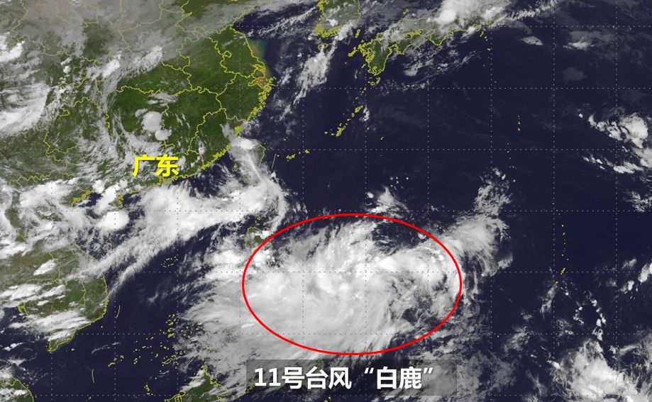 🌀 11号台风最新动态更新 🌬️