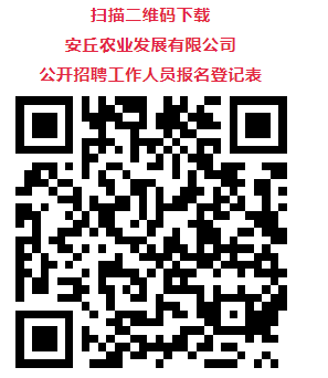 安丘最新职位招聘探索，小巷中的职业宝藏与未知魅力