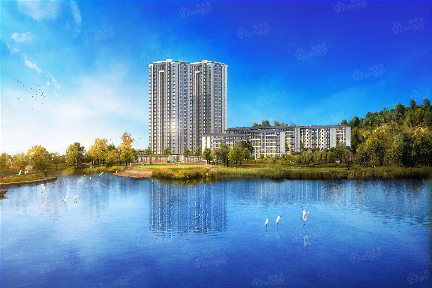 大足金科最新房产价格揭秘，你了解吗？🏠
