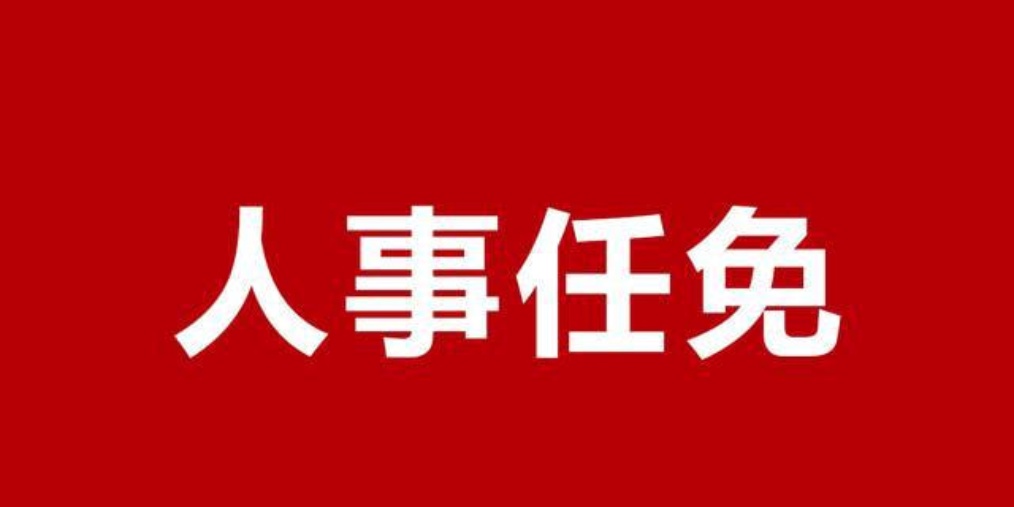保定市人事任免通知及小巷美食探索之旅揭秘
