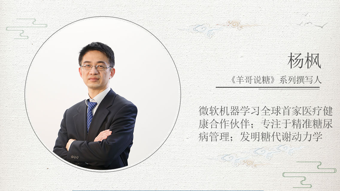 自然中的狡猾与优雅，狐狸的动态观察