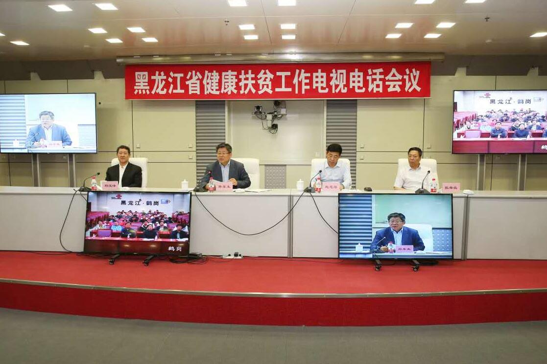 黑龙江省扶贫工作最新进展及其观点论述摘要