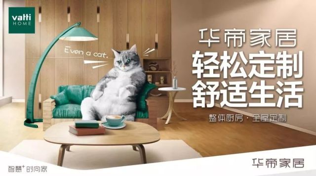 兔宝宝最新动态与资讯速递🐰