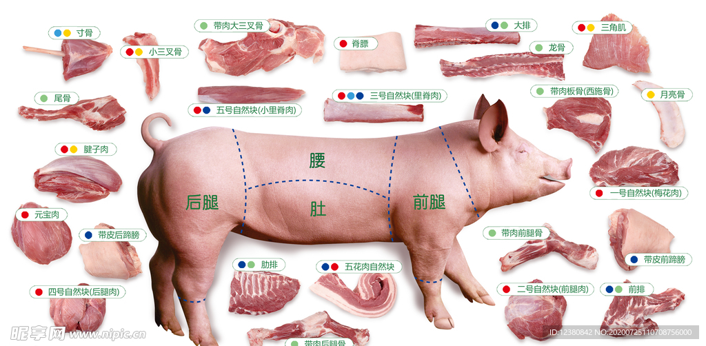 猪肉分割技巧视频教程更新，轻松掌握分割技巧！