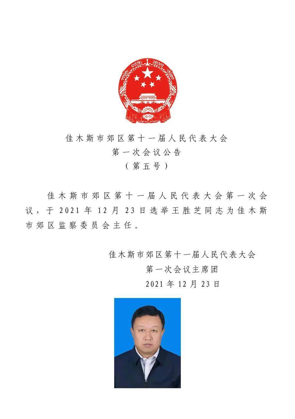 齐齐哈尔最新干部任免信息🌟