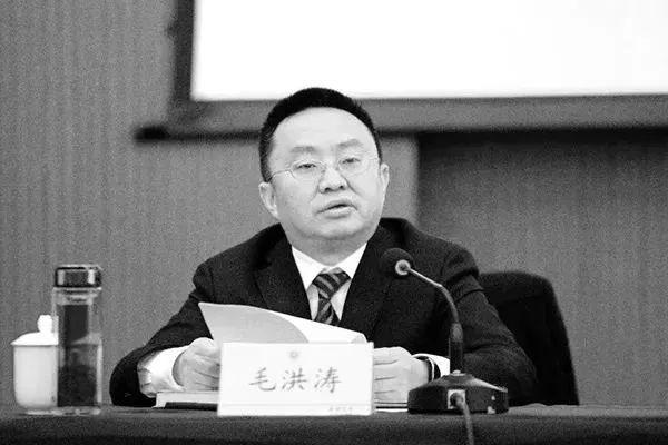 毛洪涛最新消息速递📰