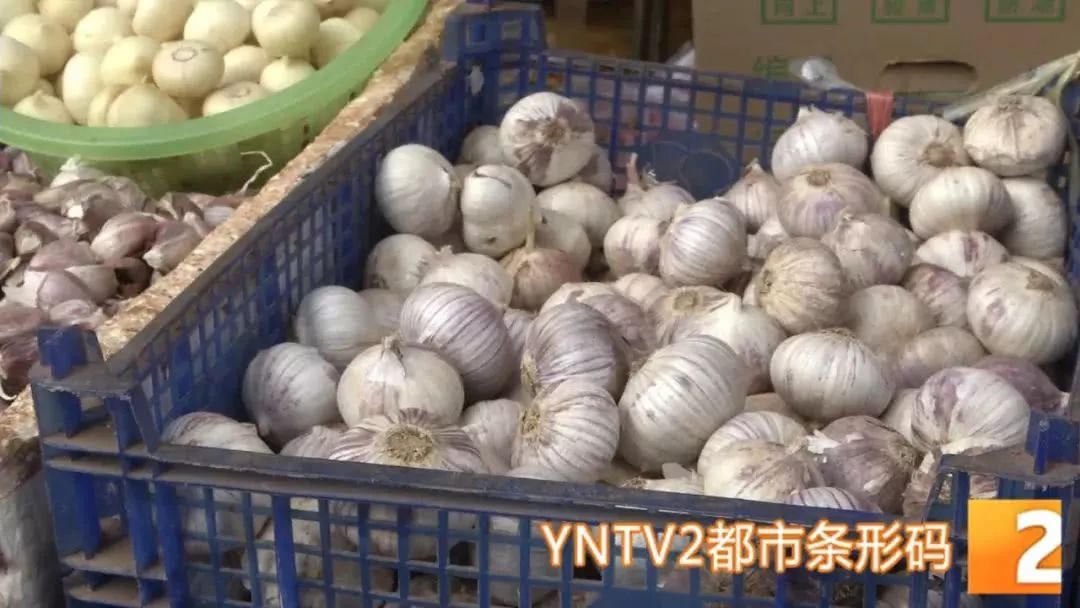 云南鲜大蒜最新行情及价格报告