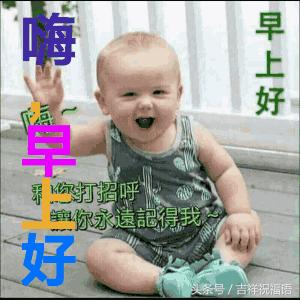 朝阳铁粉价格最新行情，一段关于友情与陪伴的温暖故事