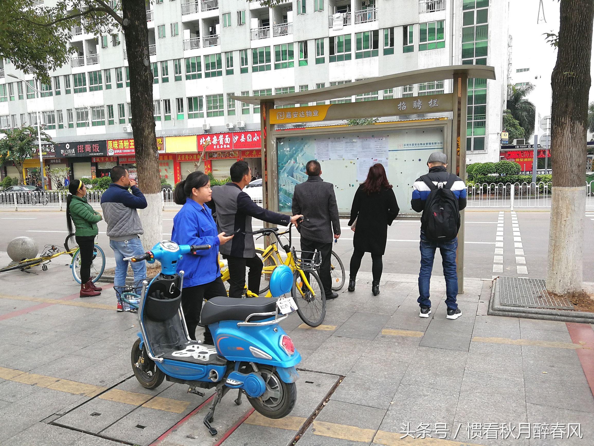 深圳最新猪肉分割招工启航，职业新视角，探寻健康美食之旅