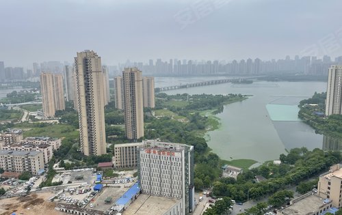 岳池尚城国际最新动态揭秘，最新进展与资讯汇总