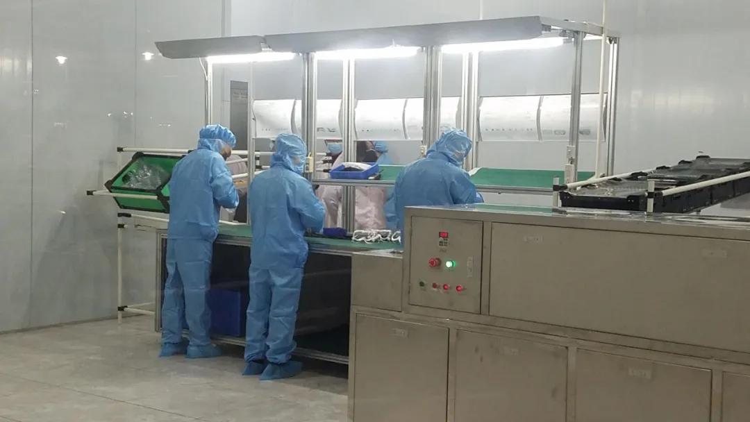 模具主管最新招聘信息,模具主管最新招聘信息——启程，探索自然美景的旅行