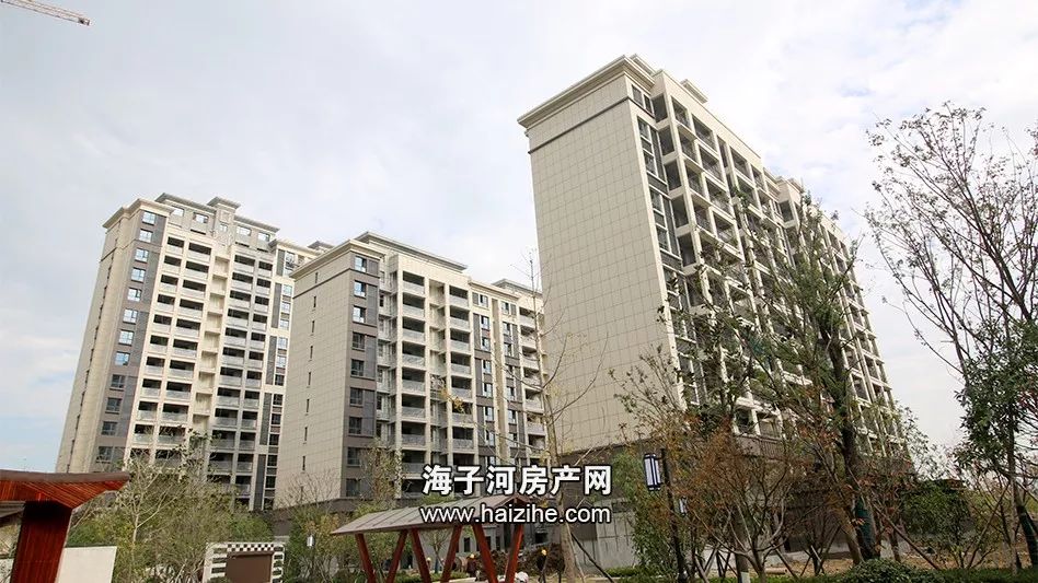 钟祥各小区最新房价概览及动态分析🏠