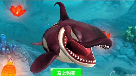 饥饿鲨世界最新杀人鲸攻略指南