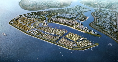 海口新埠岛蜕变之路，最新动态与奋进人生